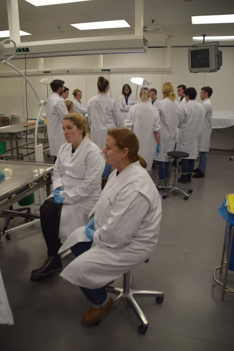Sfeerimpressie Wondcongres 2019